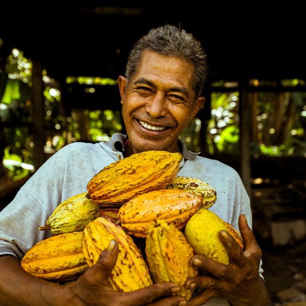 The Koko Samoa